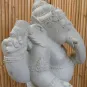 morepic-4